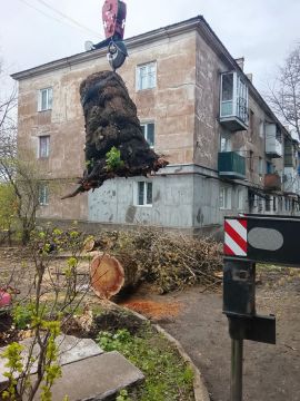 ������ ������������ ����� ������: ����� ���