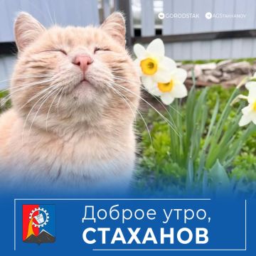 ������ ����, �����. ����� ������ � ������, ������, ��� ������