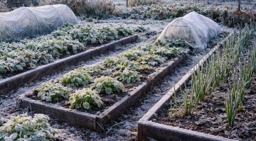 ��������� �� ����� 3 �������� ��������� � ��� ����� 16 ������