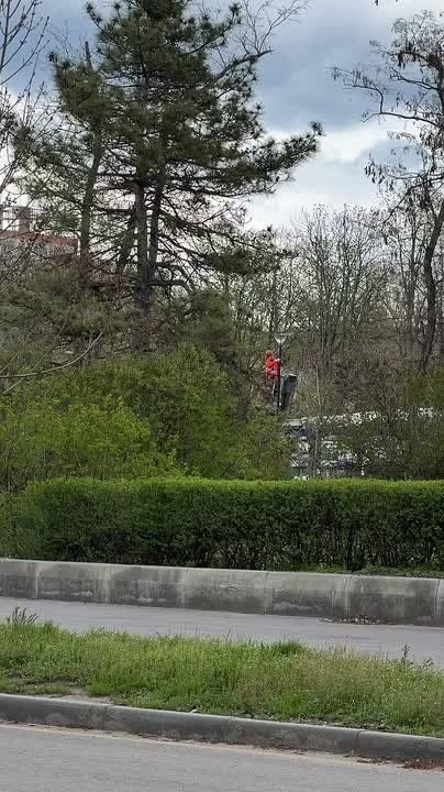 ������� �������� ��������� � ������������ 9 ���: � ������ ����� ������ �������� ������� ���������� �������� �����������