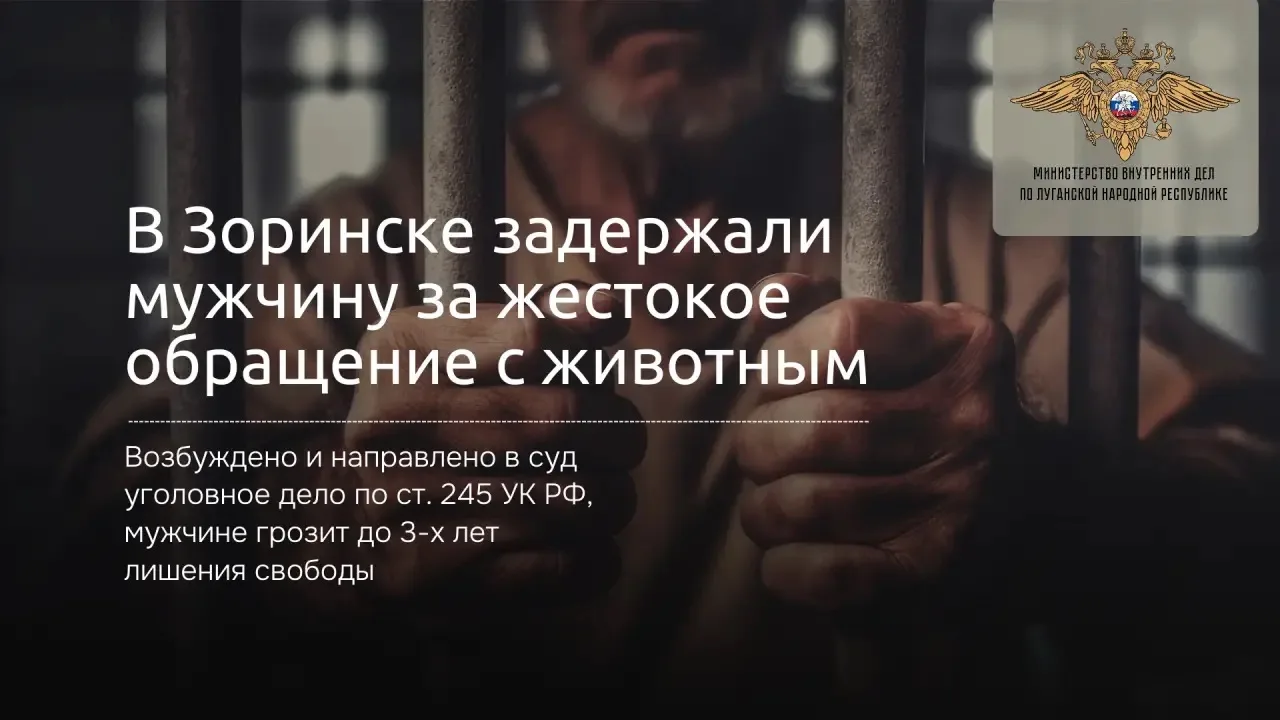 Мужчина из Зоринска предстанет перед судом за жестокое обращение с животным