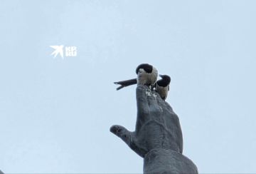 Кадр дня. Климент Ворошилов — человек-легенда, маршал, первый красный офицер