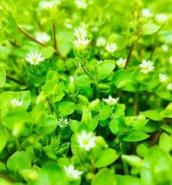 С ДОБРЫМ УТРОМ, ЖИТЕЛИ МАРКОВСКОГО МУНИЦИПАЛЬНОГО ОКРУГА!