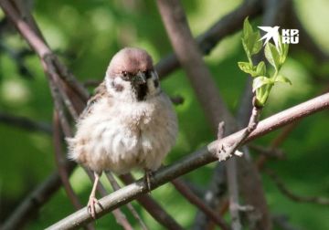 16 ������ � ��������� ���� ������