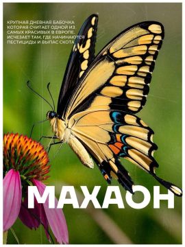 Уникальную выставку с краснокнижными животными и растениями откроют в ЛНР