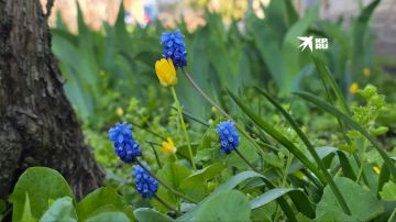 ������ � ��� 16 ������. ������� ��� ���� ���������� ����������, ���� ��� �������