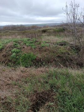 ������������ ���� ����������� ������ �������� �� ���������� ������