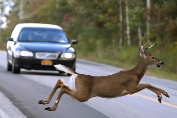 �� ����� �� �������� � ������� � ����� ��� ����� ������ ����