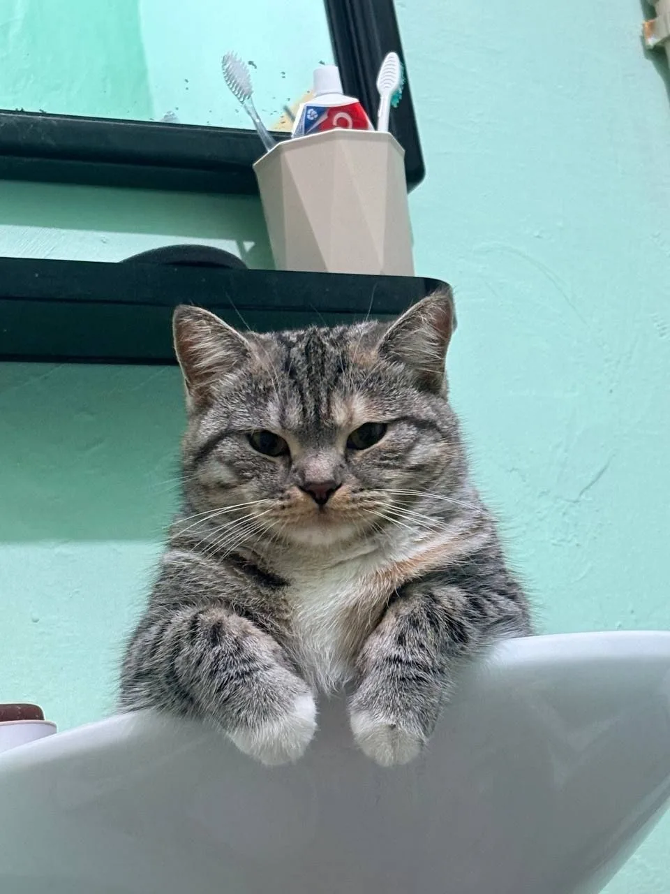 17 апреля на территории Луганской Народной Республики прогнозируется переменная облачность