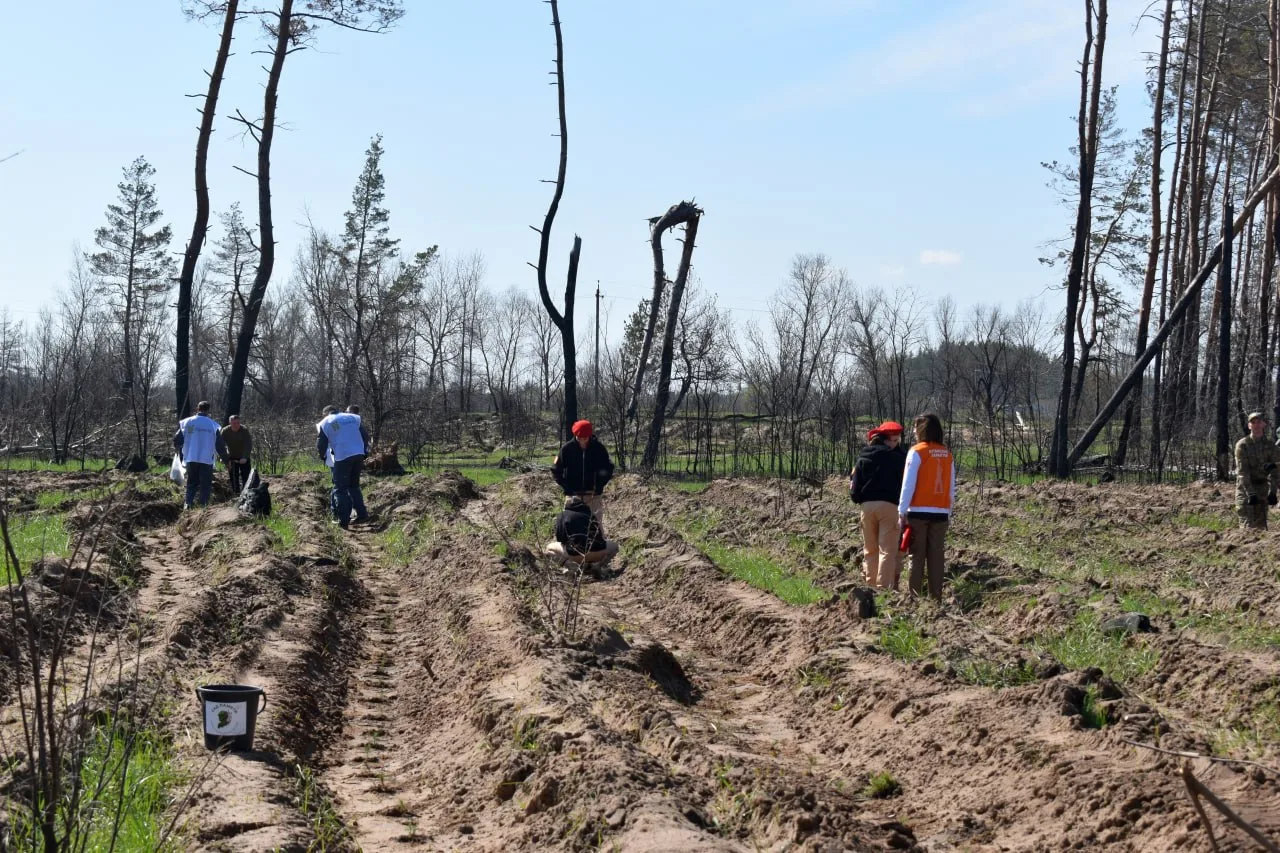 Владимир Чернев: Сегодня мой заместитель, Арабаджи Максим Борисович, принял участие в международной патриотической акции «Сад Памяти», которая прошла на территории села Половинкино Старобельского муниципального округа