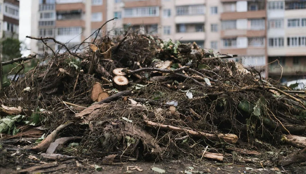 В Луганске административная комиссия наказала 10 нарушителей правил благоустройства
