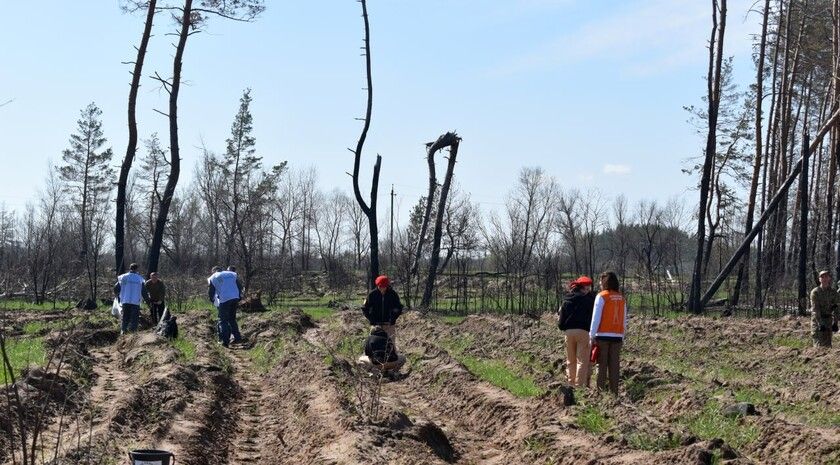 ������ �������������� ������ �������������� � ����� ���� ������