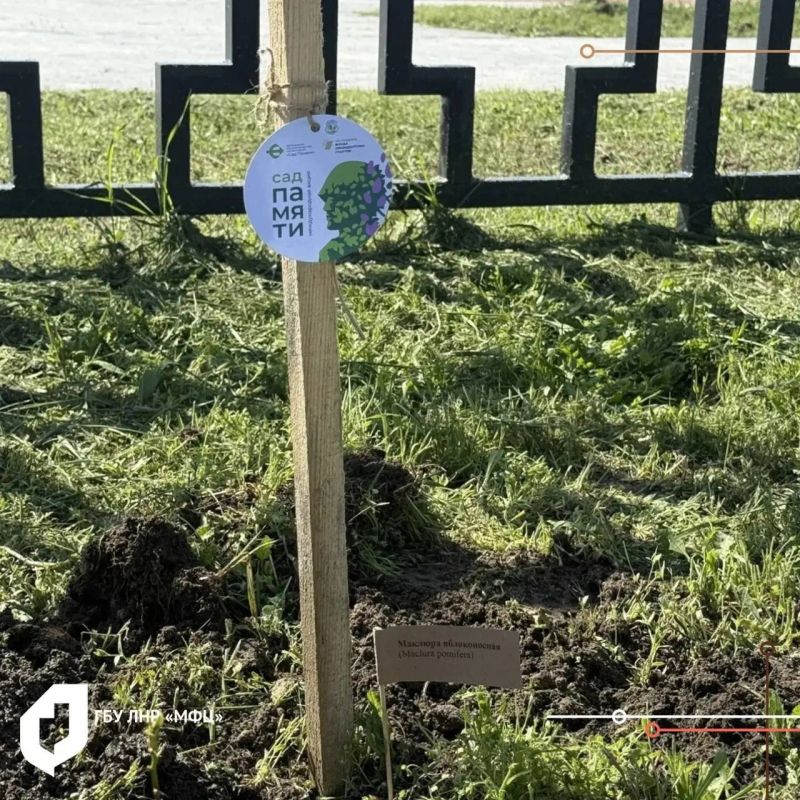 ������������ ����� "��� ���������" ������ ������� ������ ��� � �������� �� ������� ���