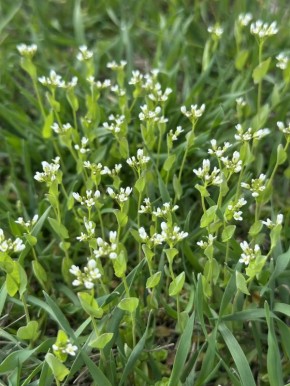 � ������ �����, ������ ����������� �������������� ������!