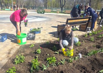 ������������� ���� ���������� ����: ������ �������� ������ �������