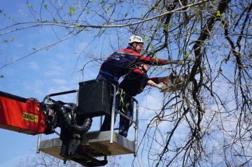 ����������� ����� ���� �������������� � ������������� ������ ����������� ��� �� �������