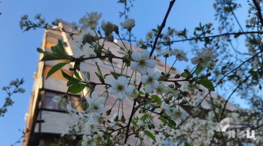 ��������� ������������ 19 ������ � ��� �� 5 �� 15 �������� �����