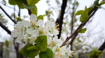 ��������� ������������ 20 ������ � ��� �� 0 �� 13 �������� �����