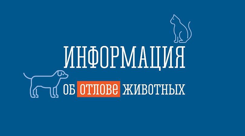 ����� ������������ �������� �� ���������� �������������� �������������� ������