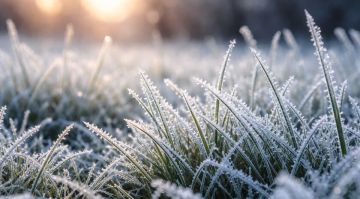 ��������� ������������ 21 ������ � ��� �� 10 �������� �����, ����� ���������