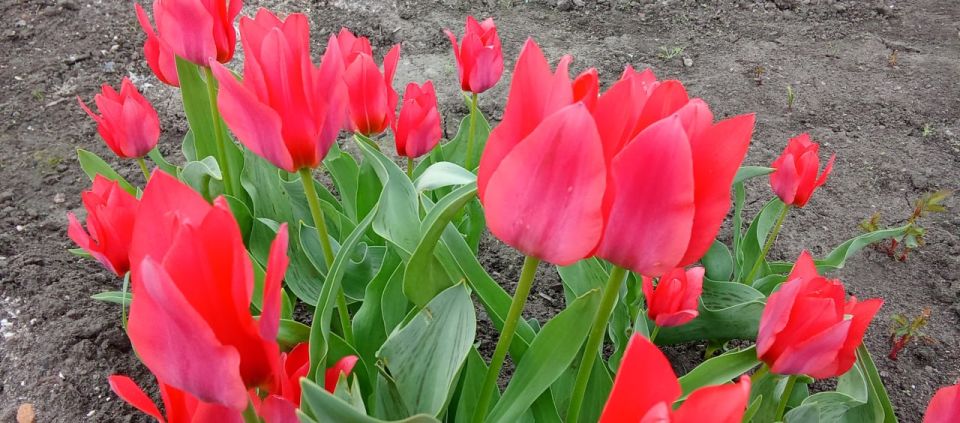 ����� � ����������. ����� � ������ �������! � � ������������ ����� ������ �� ��������� �� ������������