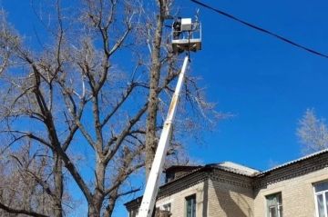 � ������������������ ������������� �������� ��������� ������� �� ����� �����������