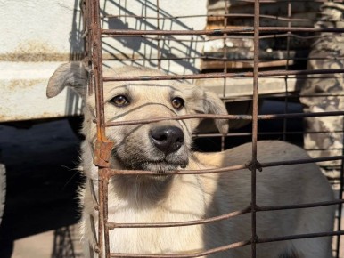 � ��������� �������� ���������� ������� ���� ��� ������� �������� ������������ ��������