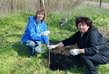 �������������� ���������� �������������� � ����� ���� ������