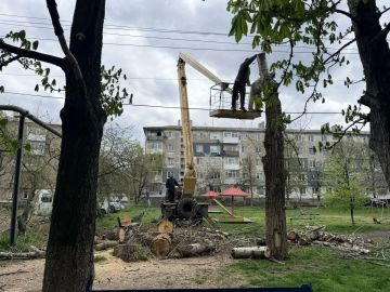 ����������� ������������ � �������� ���������� �������