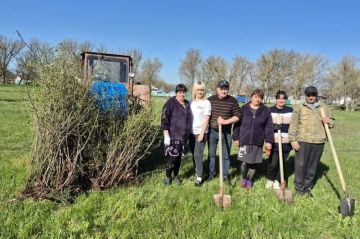 ������ ������� � ��� ������ ����� ���������, ����������� � ������������ ������� ������ ���