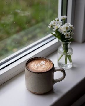 ������ ����. �������� ����� ������� ������!