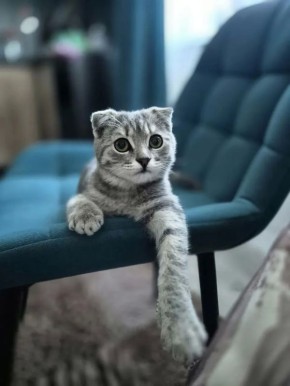 21 ������ �� ���������� ��������� �������� ���������� �������������� ���������� ����������