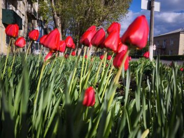 ������ ����, ���������!. ����� ���� �������� � ��������� ����������, ���������� ���� � ������ �������