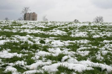 � ��� ��������� ����� ���������