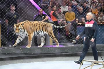 ���������� ���� ���� � �������� ������ ����������������� ���������� ��-�� ��������