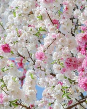 � ������ �����, ������������� �����!