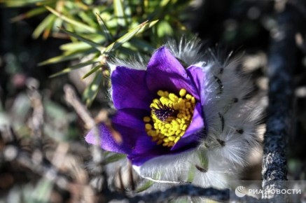 ������ �� ����� ����������� ������