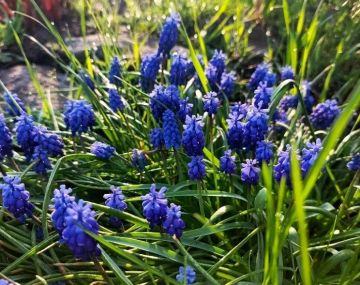 ������ ����, �������!. ����� ����������� ���� ������� ����� �����������, �������� ������� � ��������� �������