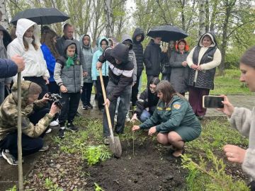 � �������� �������� ������������� ������� ������������ ��������������� ������� �������