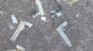 ���� ��� �� �� ����� ����� ����� 370 ���������� ������������� � ����������