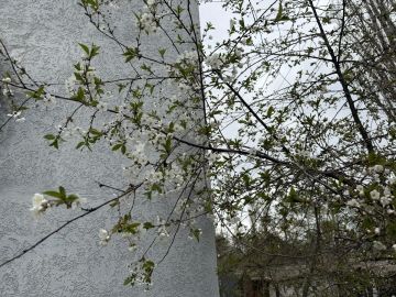 ���������� ��������� � ��� � ���� ����� ��������?