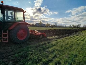 �� ������������� ���������� ��������� ��������������� �����������