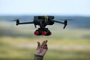 �������� ��� � ������������� �� �������� ������ ���������� ��������� ������������ �������