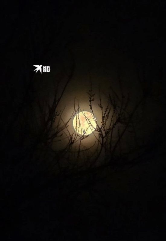 23 ������ - ���� �������� ��� �����