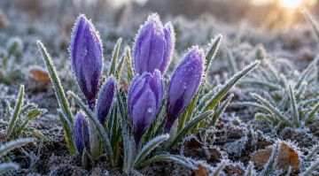 ��������� ��������� � ��� 24 � 25 ������ � ���