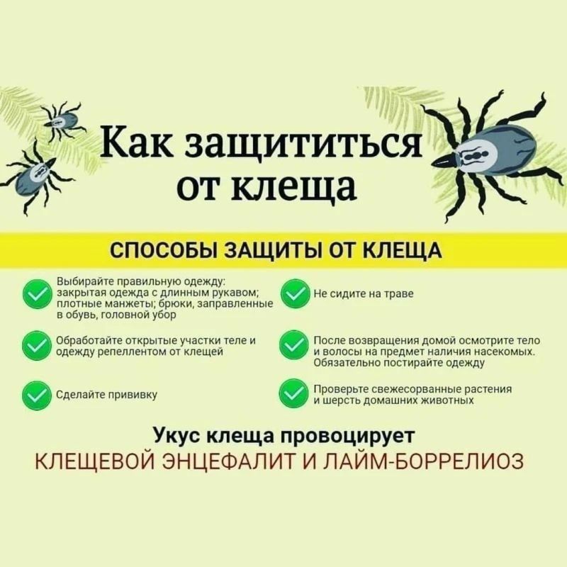 ��������������� ����� ���������� ����������� ������ �� ������� � ����� ������ ���� ������������ � ������������ �������� �� ��������� �������� ���������� � ������� �������, ������� ���, �������� � ������������ ������...