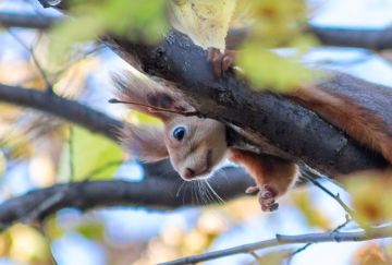 ������, ��� ��� ����� ���������� �� ����� ��� ����� ������