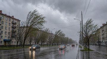 �������� ����� � ������� ������ ��������� � ��� 23�24 ������ � ���