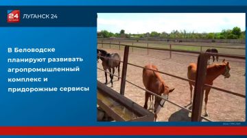 � ���������� ��������� ��������� ���������������� �������� � ����������� �������