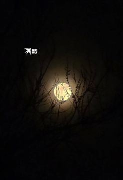 23 ������ - ���� �������� ��� �����